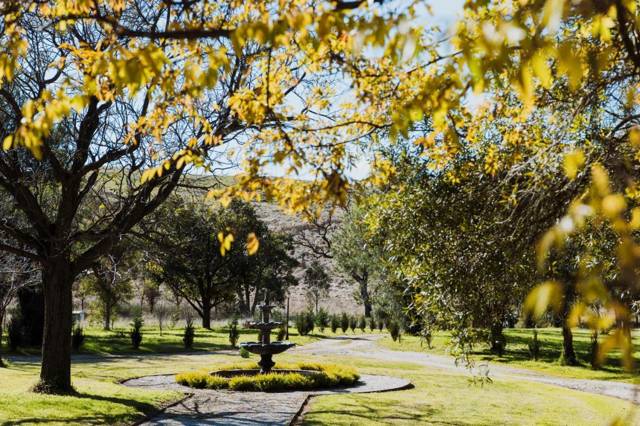 Enfield House Mudgee Bed & Breakfast Exterior photo